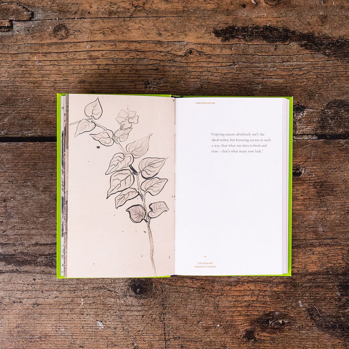 Healing Power of Nature: Vincent van Gogh