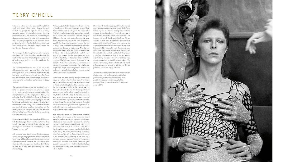 David Bowie: Icon