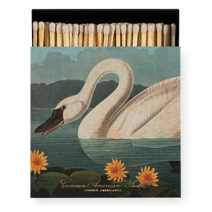 Common American Swan Matches