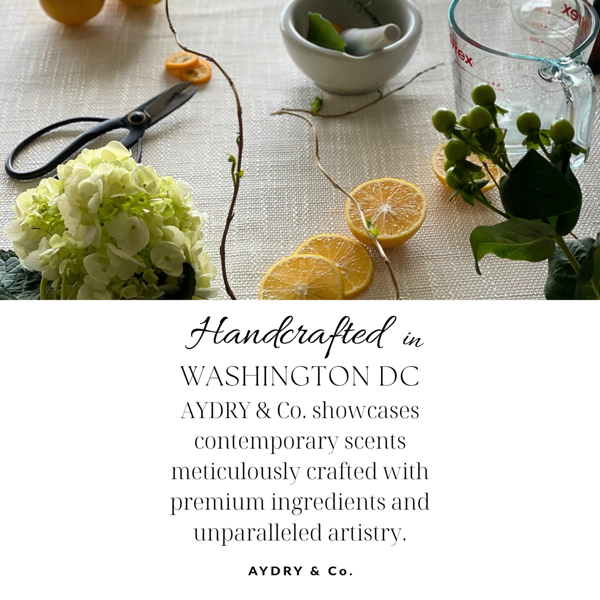 White Tea Fragrance Mist