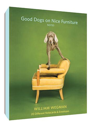 Good Dogs On Nice Furniture Notecards