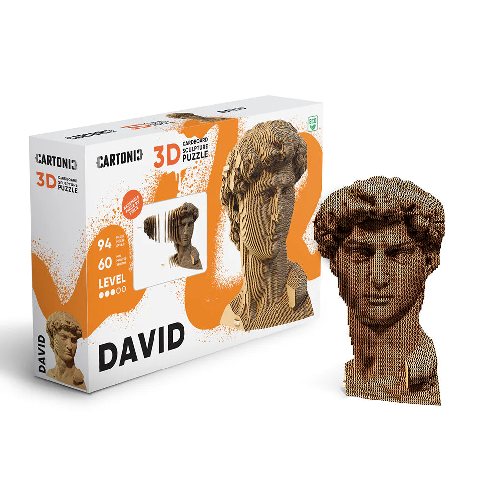 David 3D Puzzle