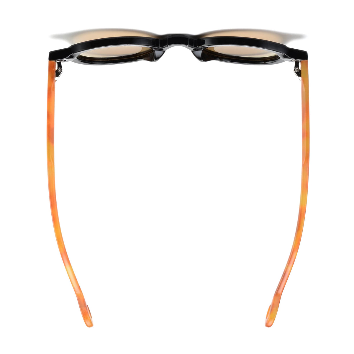 DEVAN | Black | Tortoise Temples | Light Brown Lens