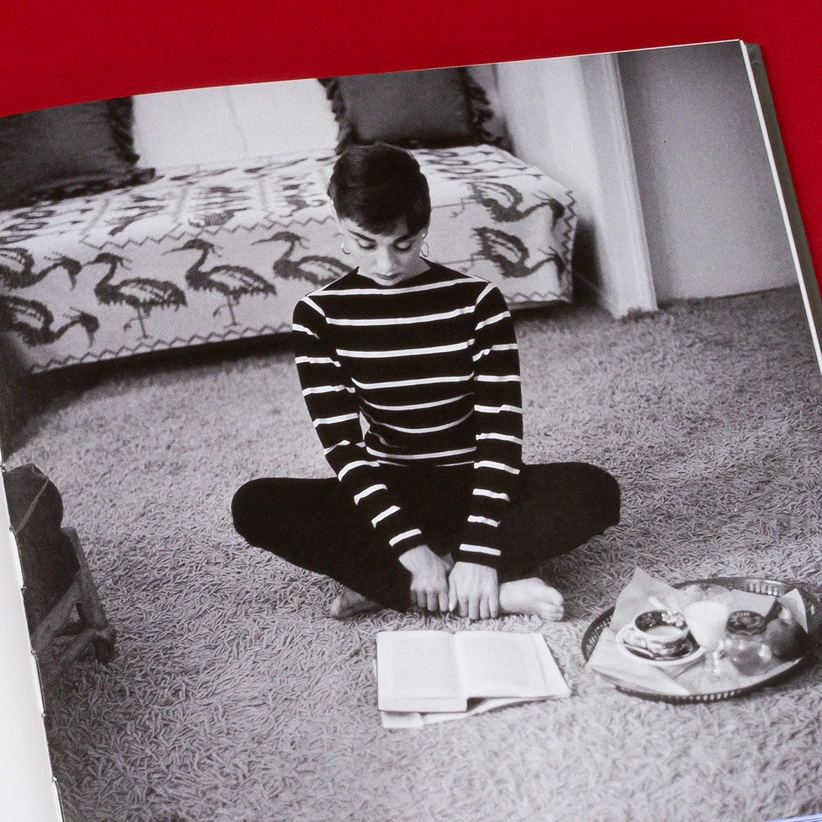 The Hollywood Book Club