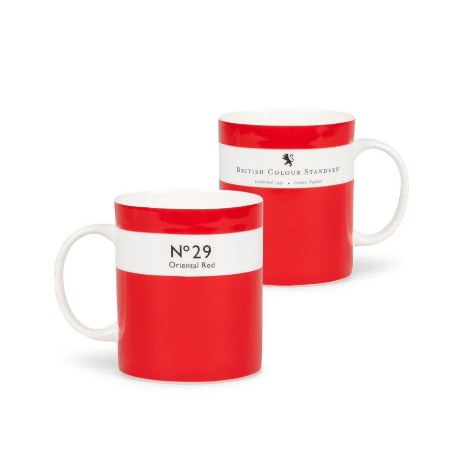 Colour Dictionary Mug