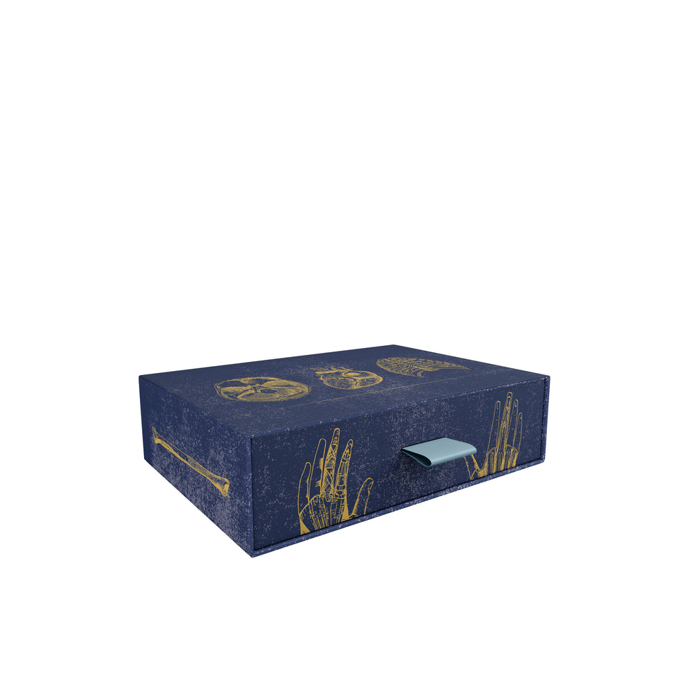 Vintage Anatomy Slipcase Boxed Notecards