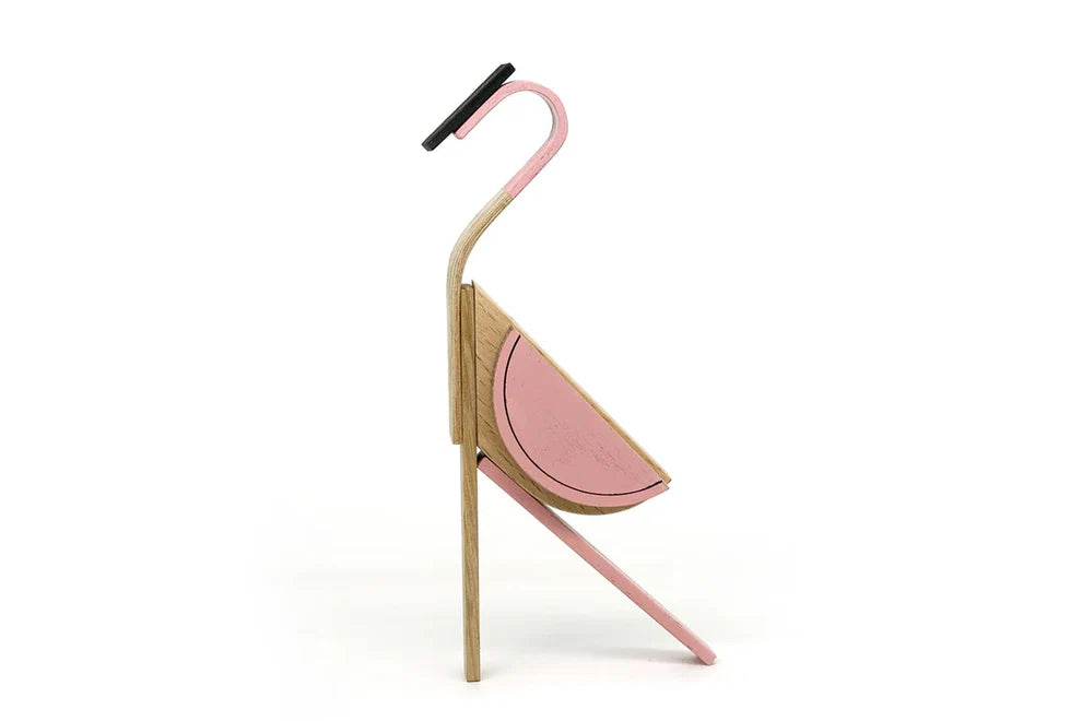 Wooden Magnetic Toy - Bird Collection