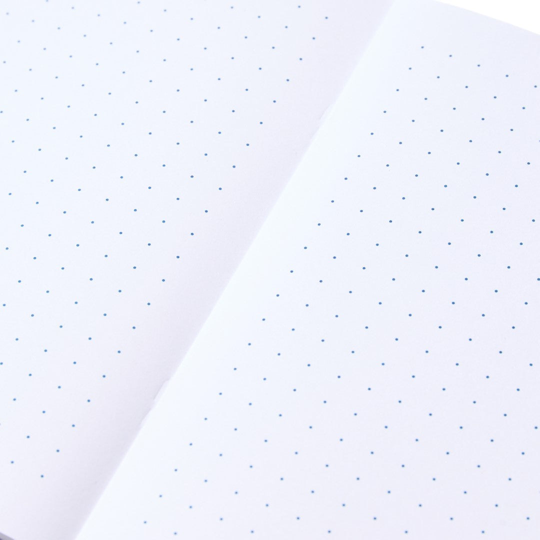 Pantone Booklets Set of 2 Dotted - Blue