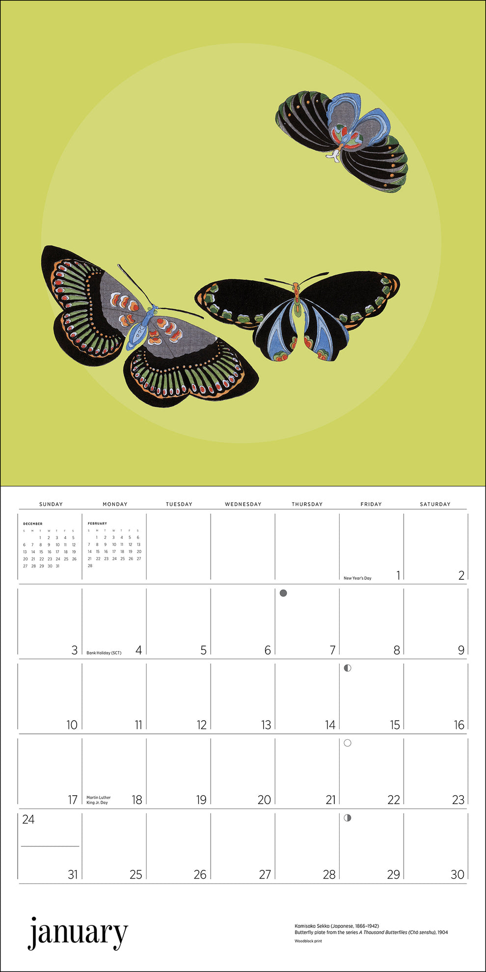 Butterflies 2027 Wall Calendar