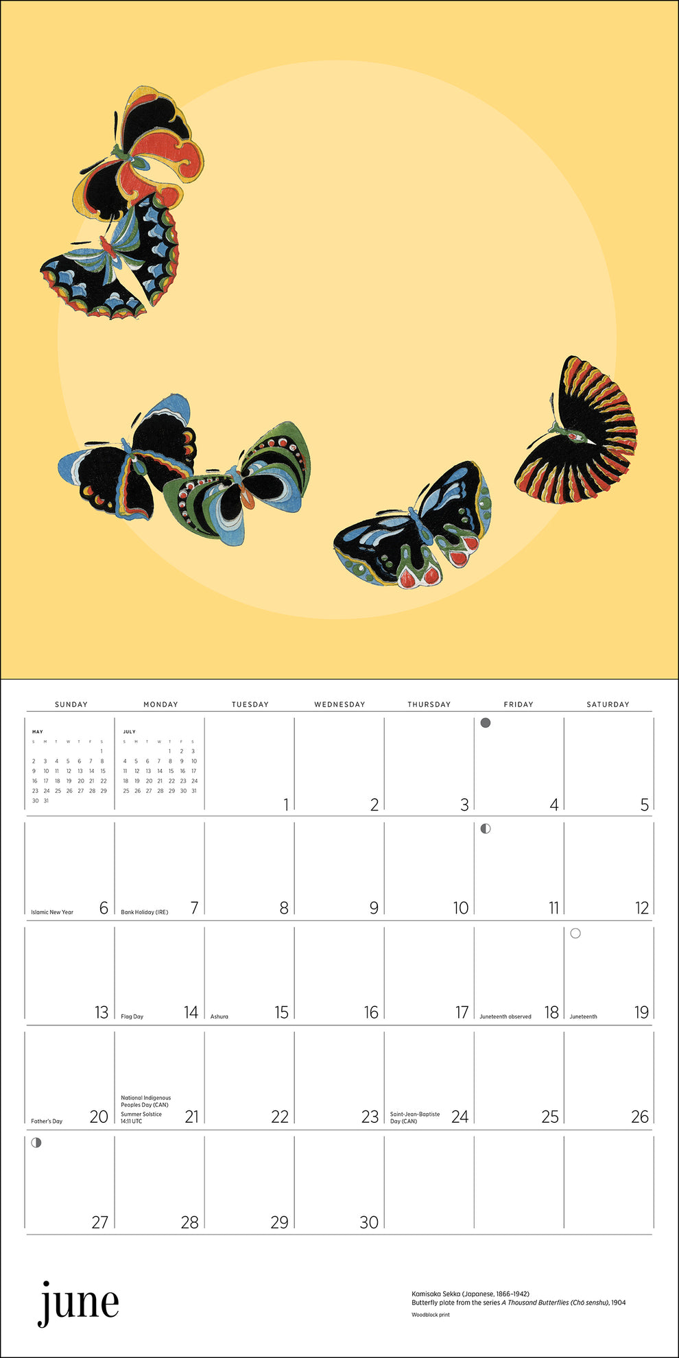 Butterflies 2027 Wall Calendar