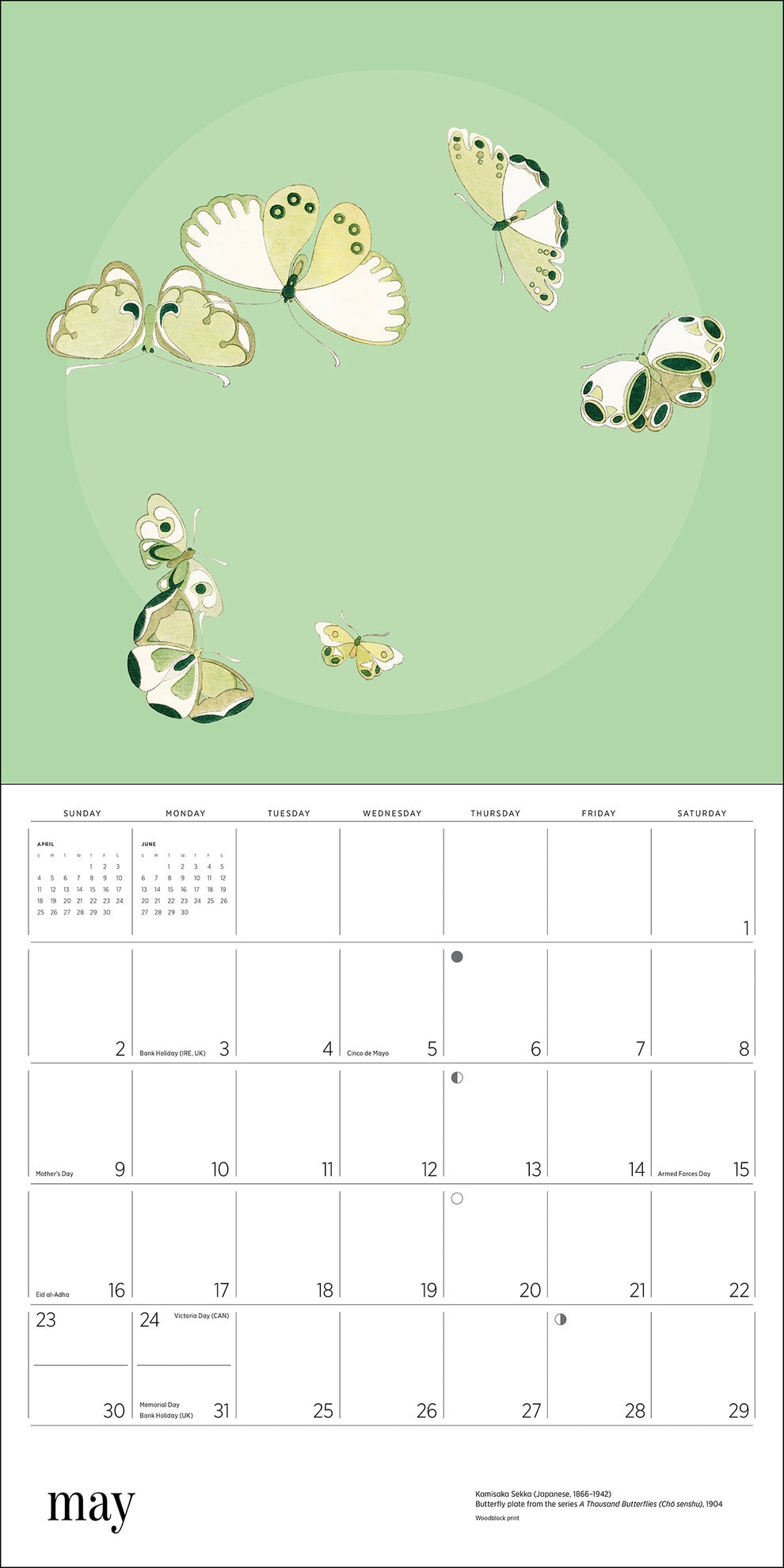 Butterflies 2027 Wall Calendar