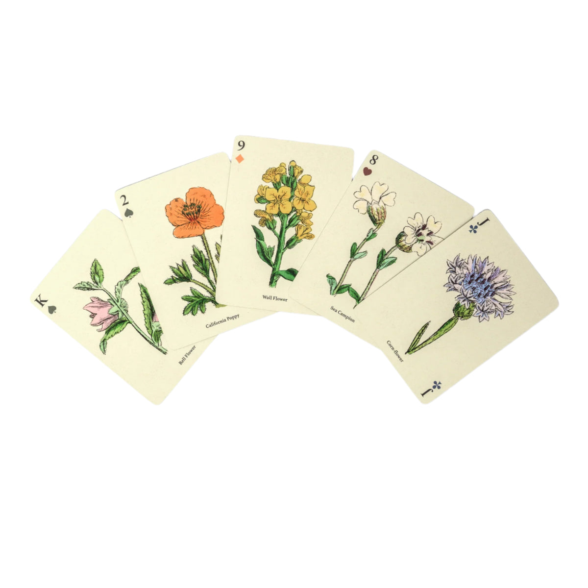 Set of playing cards with floral illustrations on a white background
