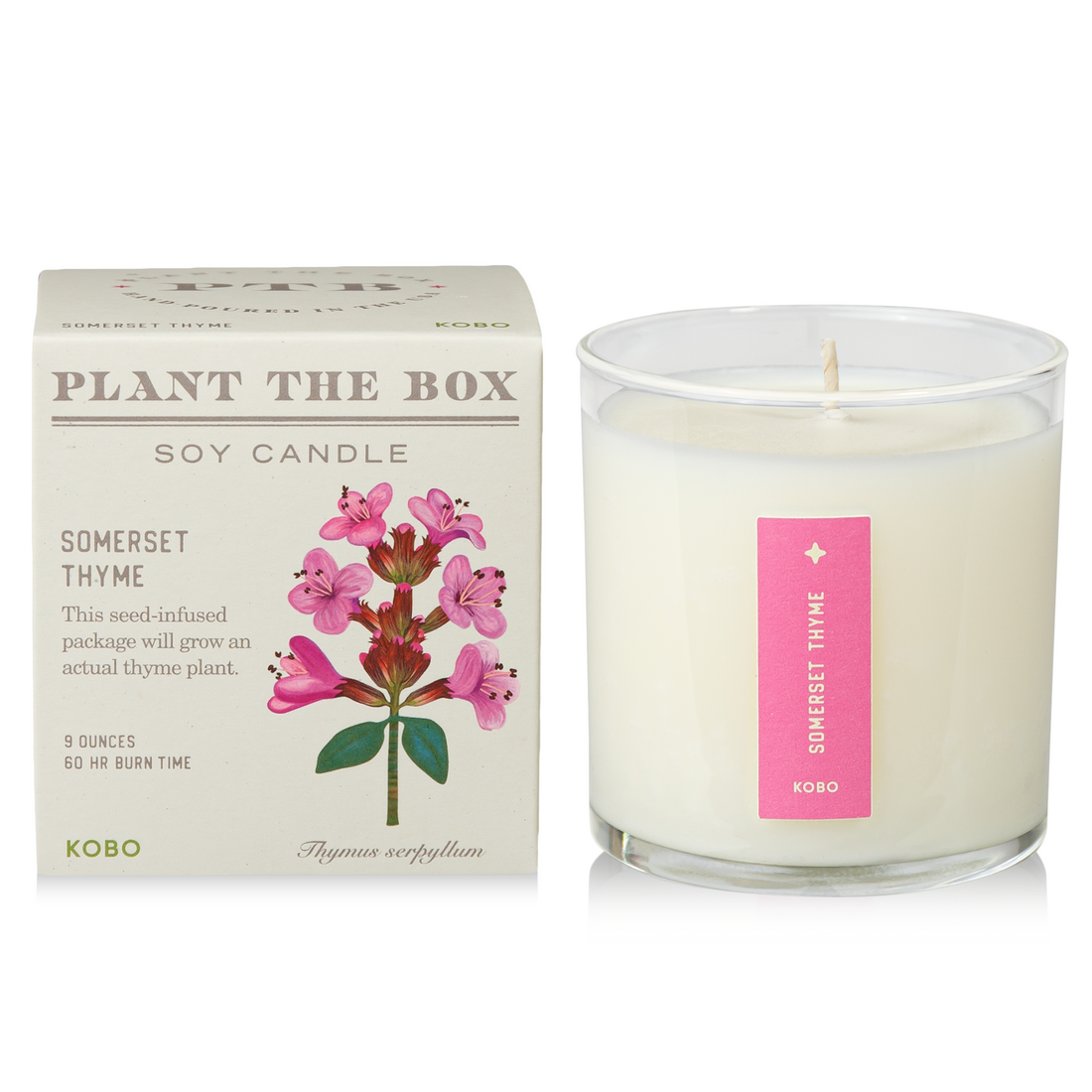 Somerset Thyme Candle with Plantable box