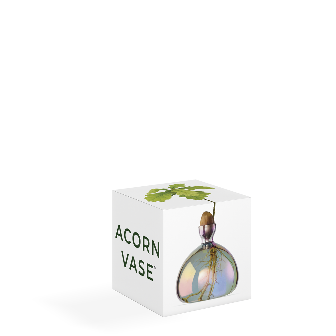 Acorn Vase