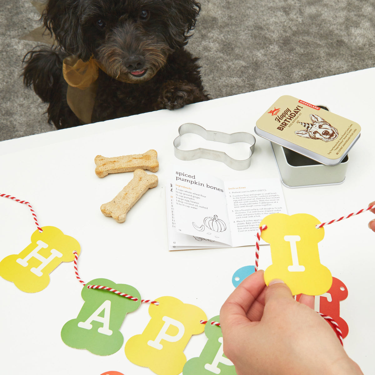 Dog with treats and a birthday banner on a table