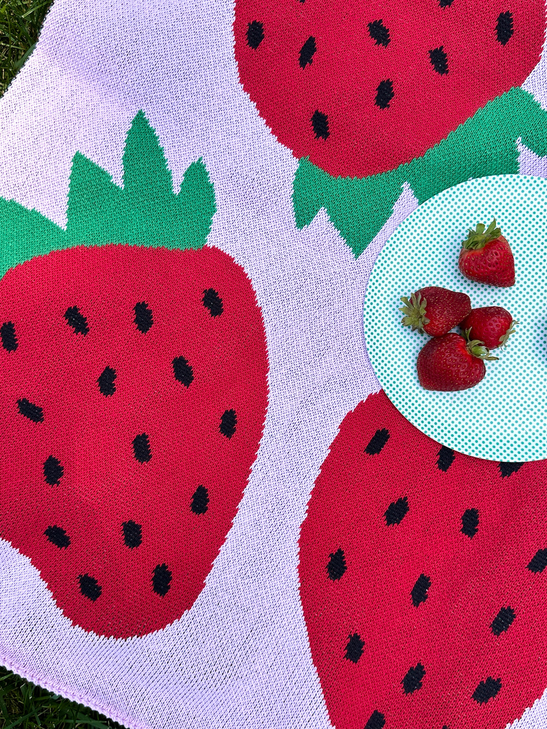 Strawberry-patterned blanket with a plate of strawberries on the grass. 