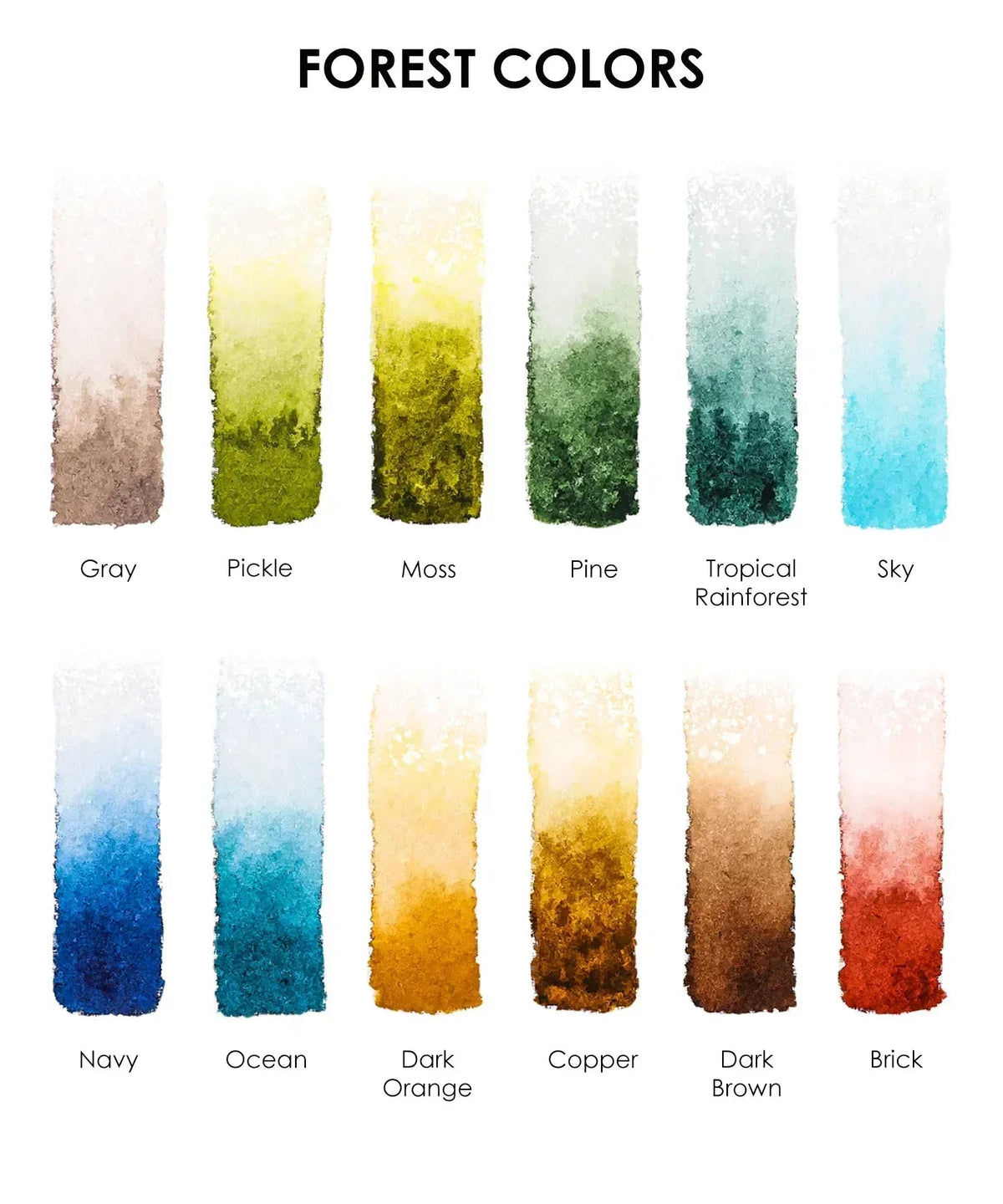 Watercolor Pocket Set of 12 with Brush - Forest Colors