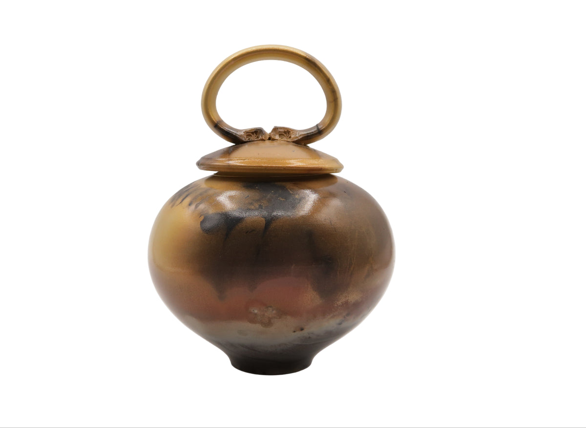 Decorative ceramic pot with a gold handle on a white background