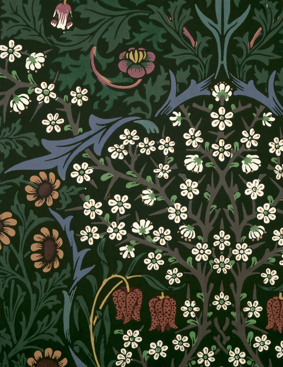 William Morris Keepsake Boxed Notecards