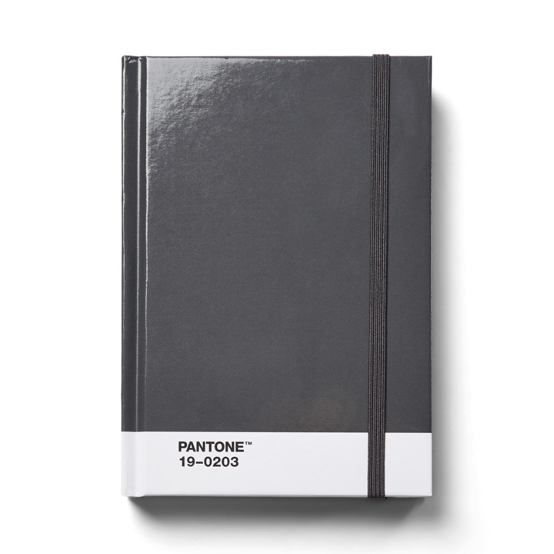 19-0203 Grey Pantone Notebook