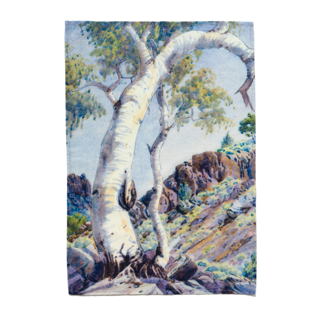Tea Towel Ghost Gum, MacDonnell Ranges, Central Australia