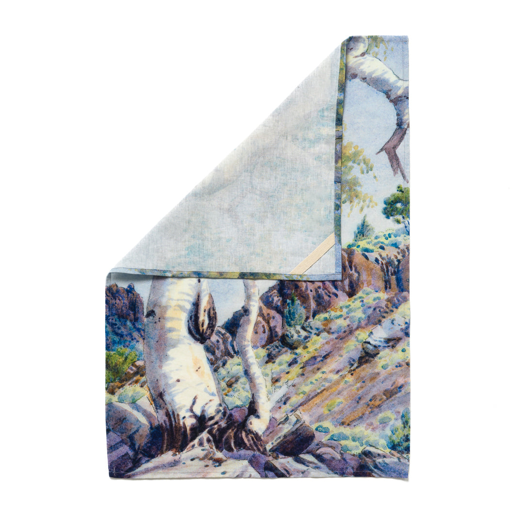 Tea Towel Ghost Gum, MacDonnell Ranges, Central Australia
