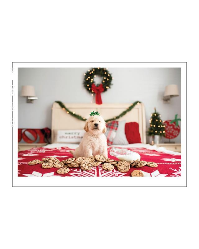 Golden Dog With Cookies On Christmas Bed Holiday Boxed Cards