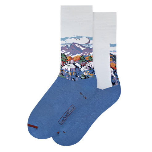 Pair of socks with a scenic design on a white background
