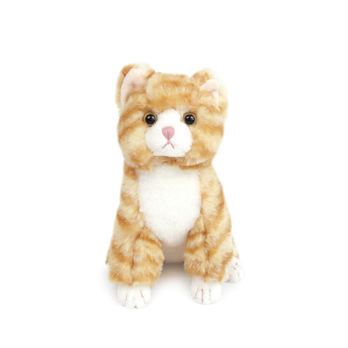 Cleo Kitty Small