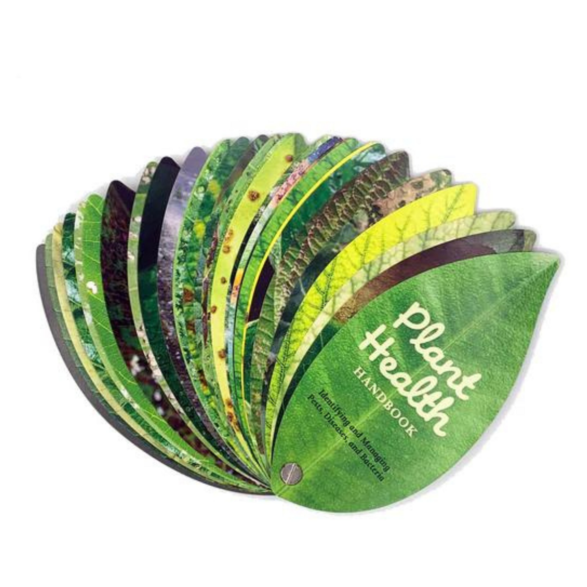 Set of plant health leaflets with &#39;Plant Health Handbook&#39; text on a white background