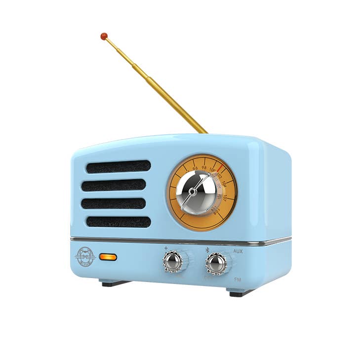 Wireless FM Radio Bluetooth Speaker