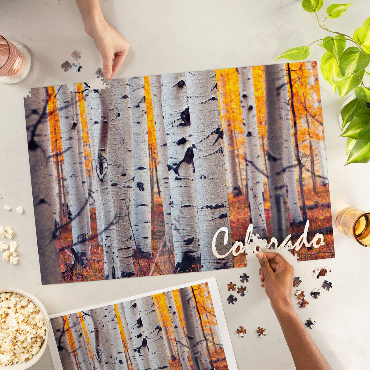 Colorado Aspen Trees 1000 Piece Puzzle