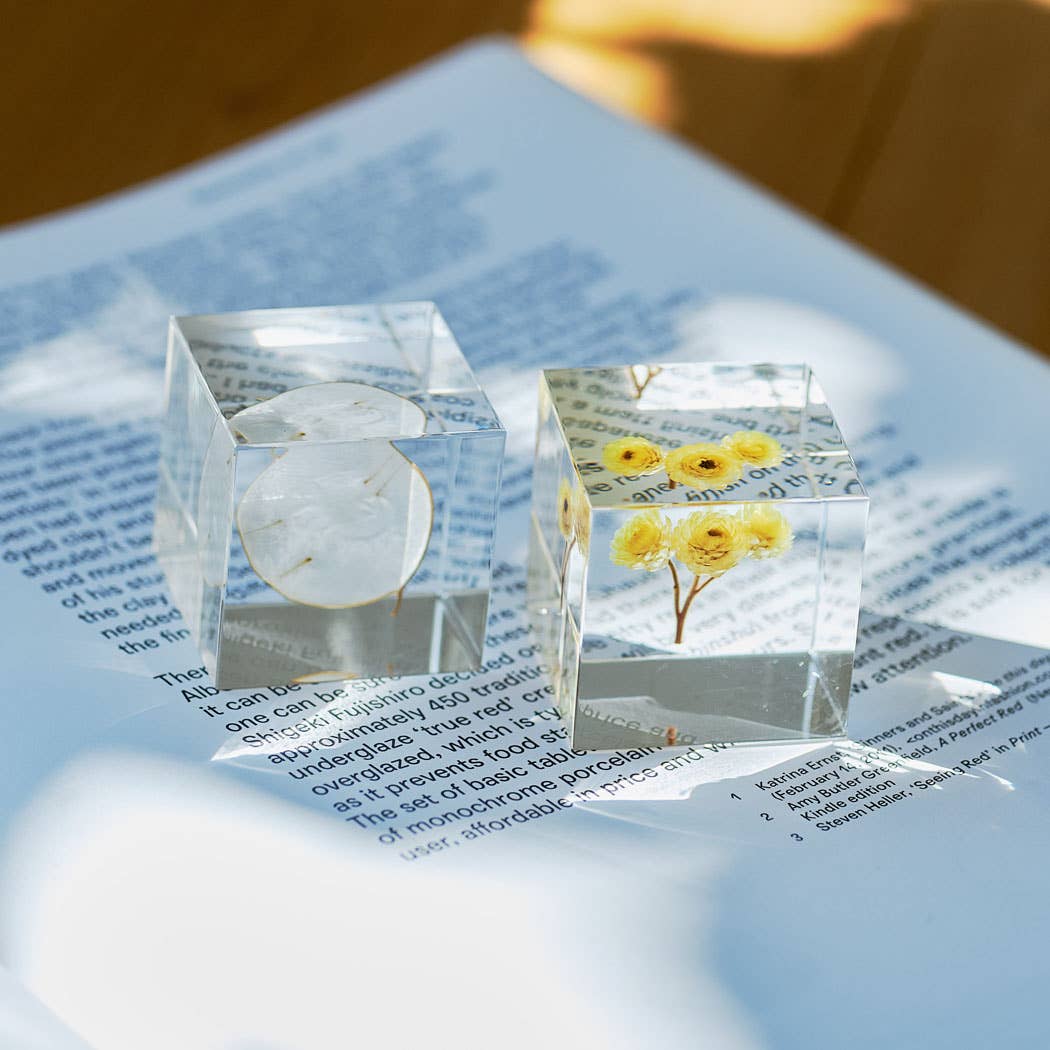 Immortelle Sola Cube