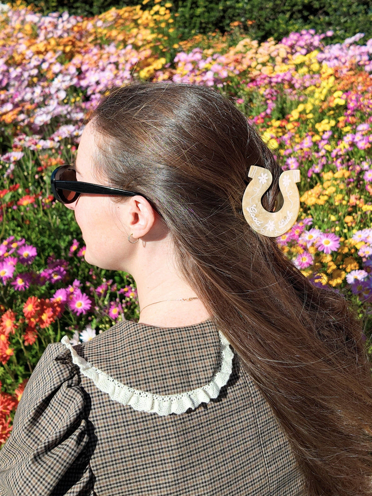 Good Luck Horseshoe Claw Hair Clip