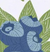 Blueberry Bunch