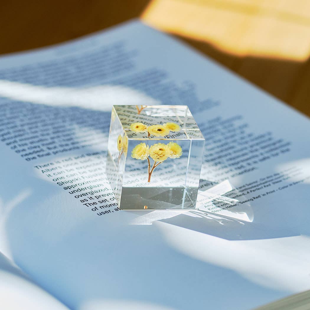 Immortelle Sola Cube