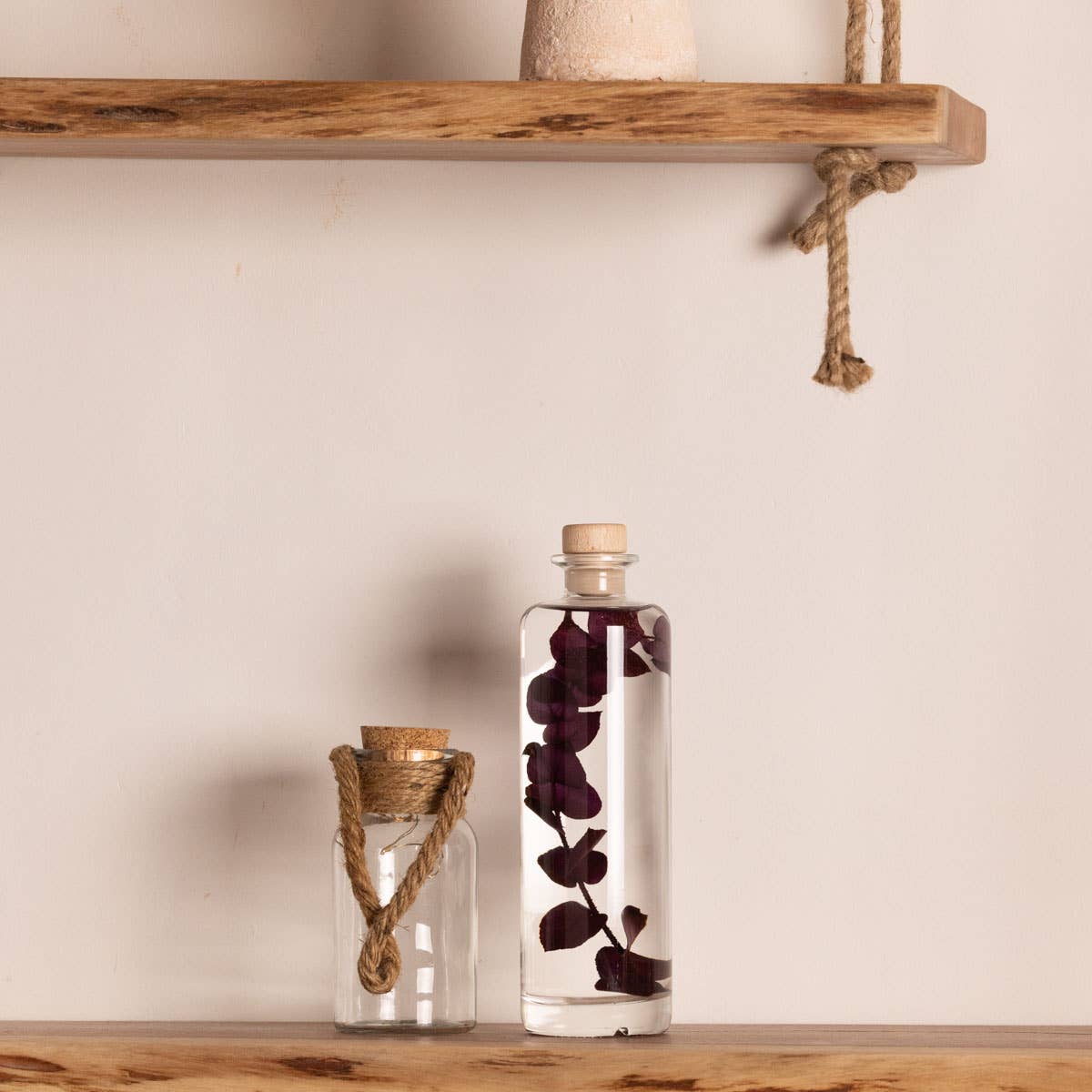 L&#39;Herbarium Eucalyptus Violet - Submerged Plant