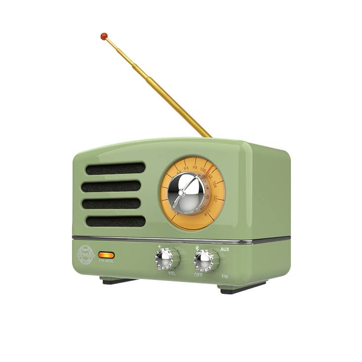 Wireless FM Radio Bluetooth Speaker