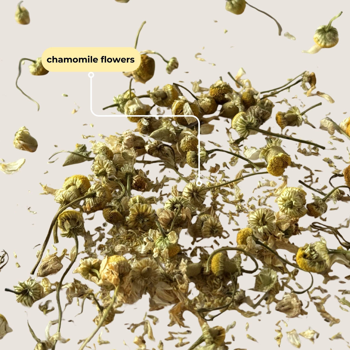 Chamomile Mini Tea Tube