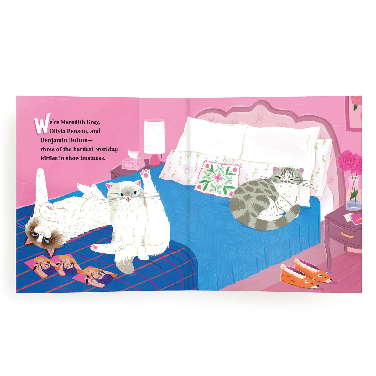 Karma Is Three Cats Picture Book