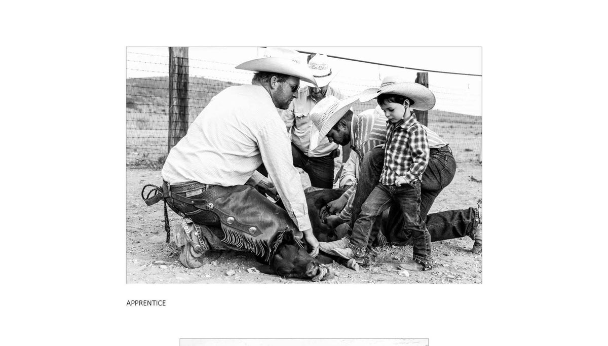 West: The American Cowboy by Anouk Masson Krantz