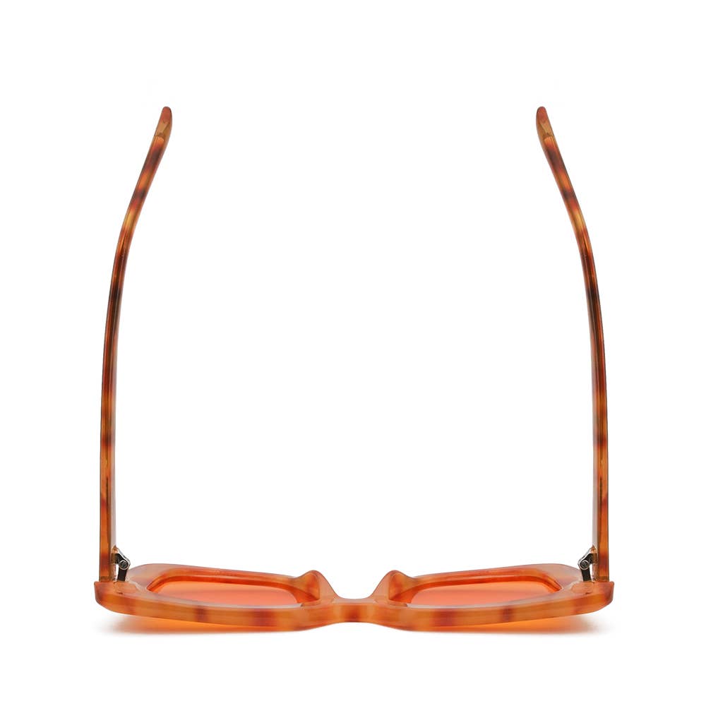MONIQUE | Amber Tortoise | Orange Lens