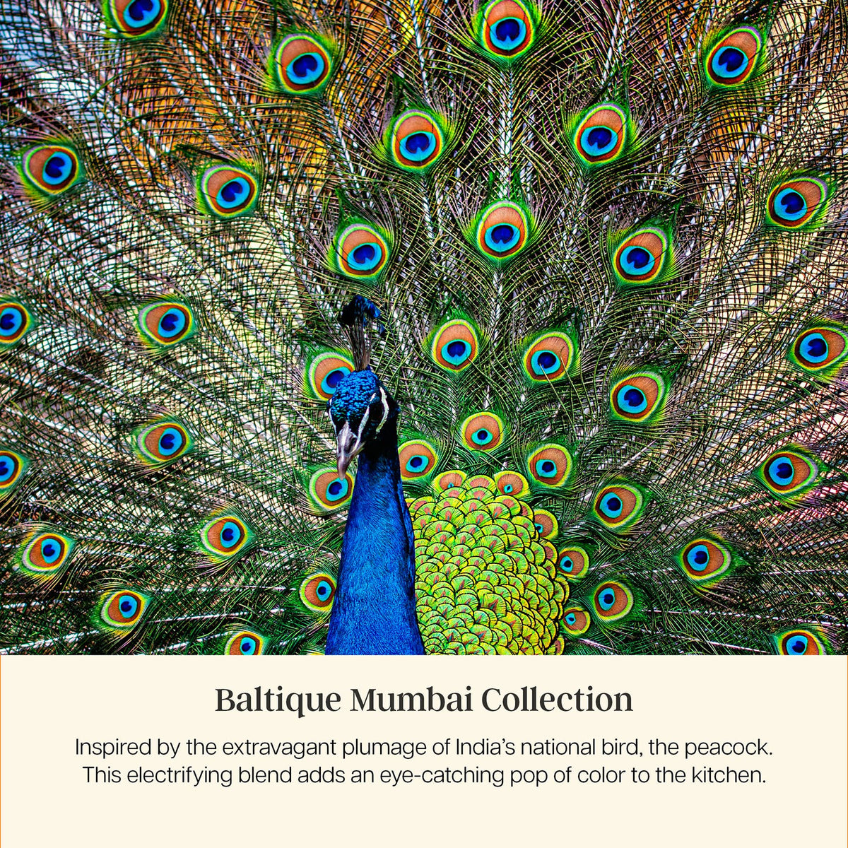 Baltique® Mumbai Colorful Wooden Cooking Spoon