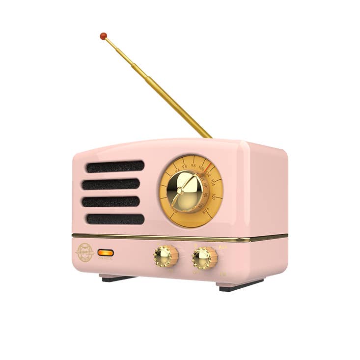 Wireless FM Radio Bluetooth Speaker