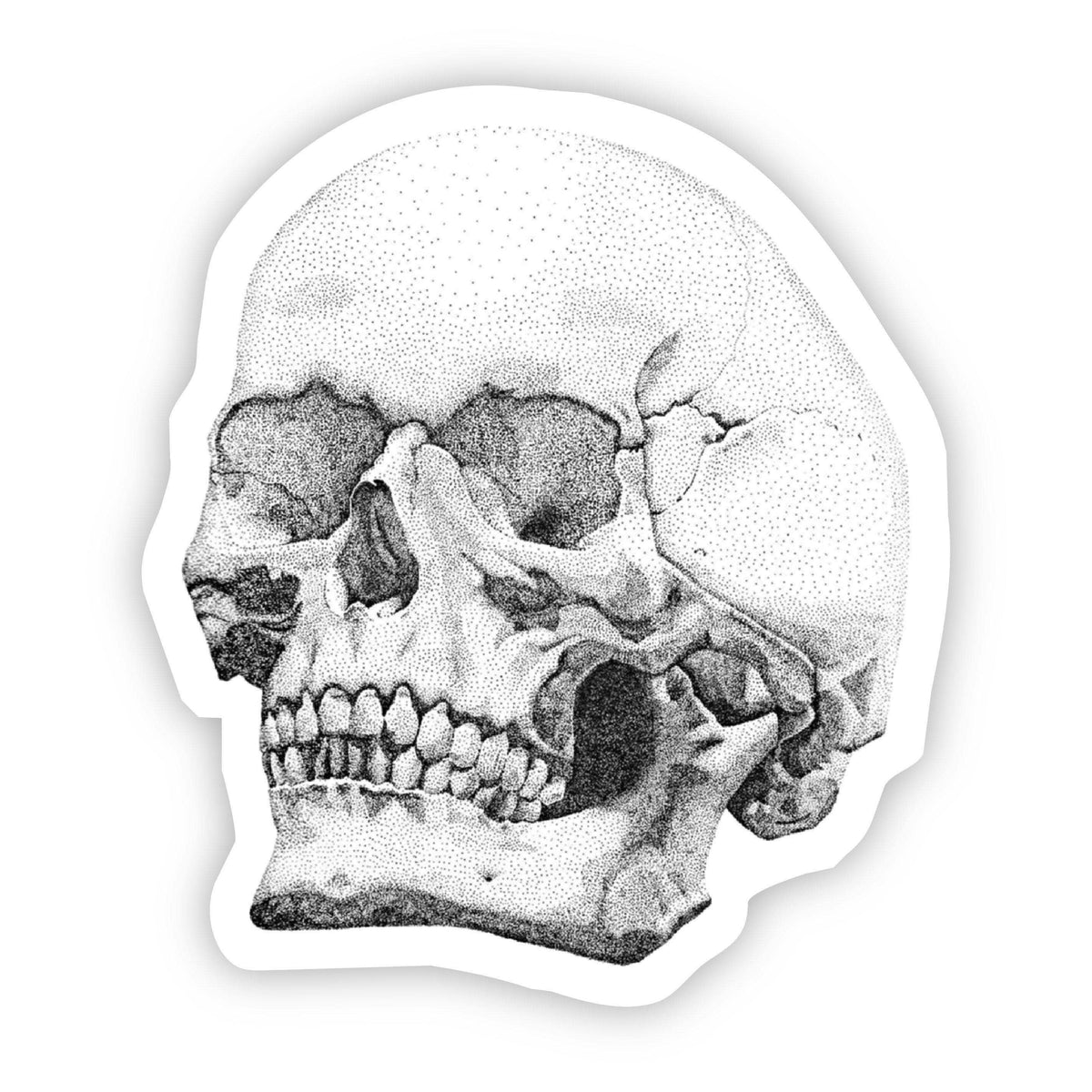 Black & White Skull Sticker