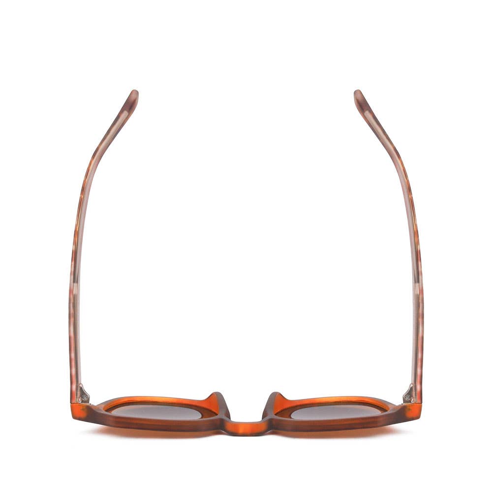 NELL | Matte Tortoise | Brown Lens