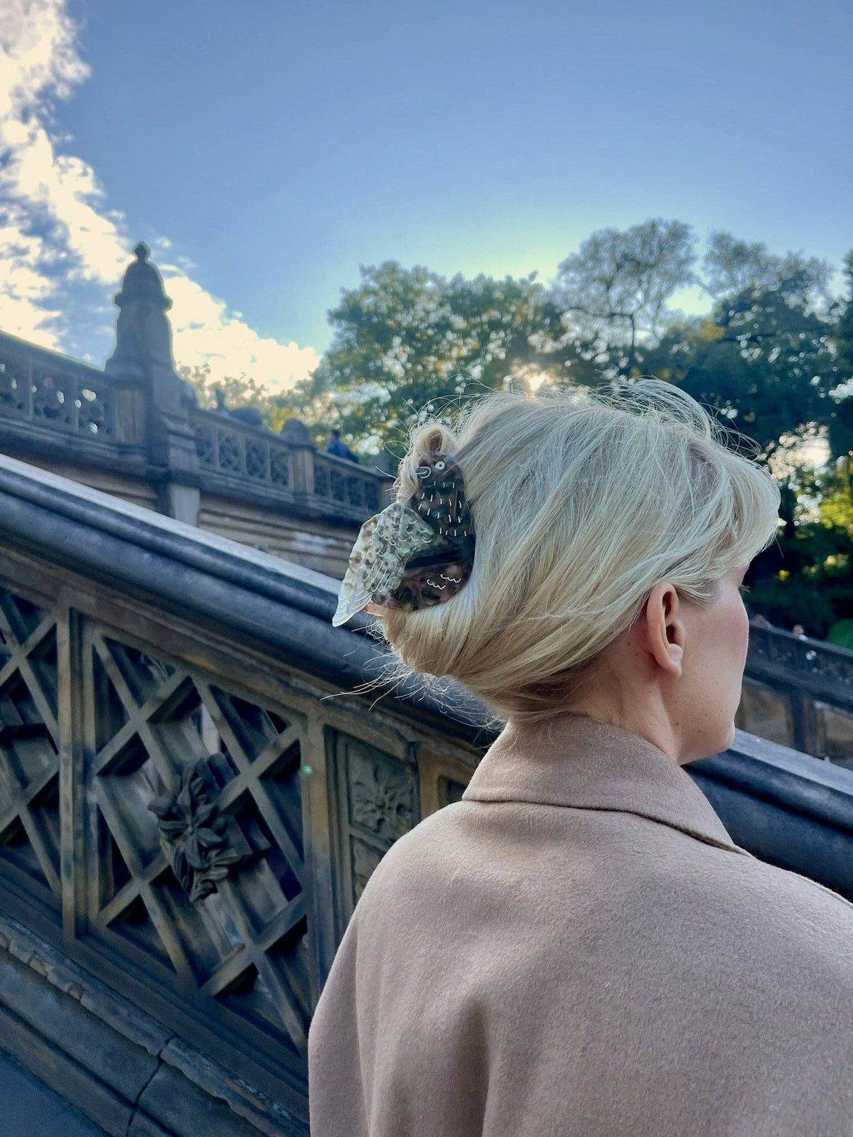 Hand-painted Pigeon Claw Hair Clip