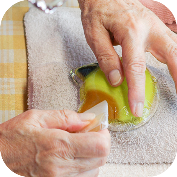 Cat Face Mini Plate (Chatora)