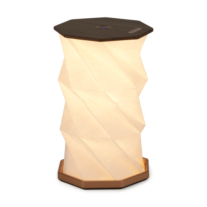 Twist Hexagon Lamp