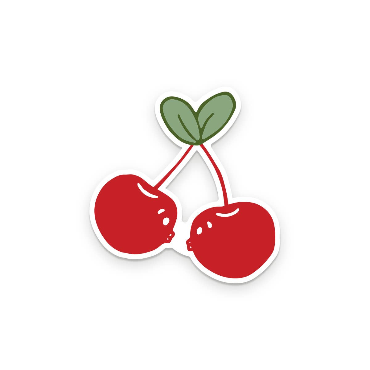 two red cherries with stems kissing